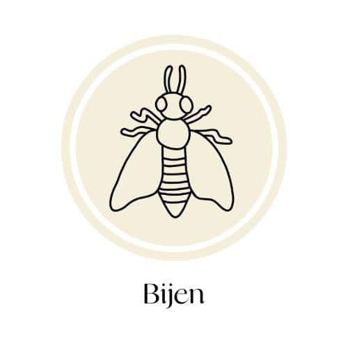 themapicto bijen