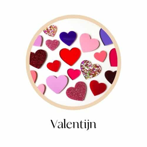 themapicto valentijn